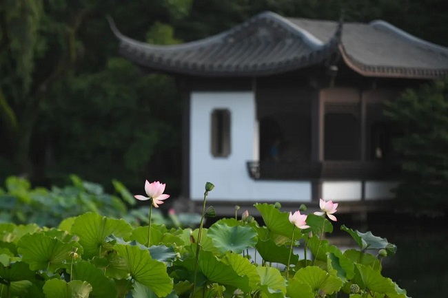 華邦瀛集團二十四節氣特輯